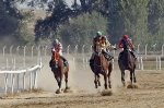 Mahmudiye Sonbahar Mahalli At Yarışları 2018